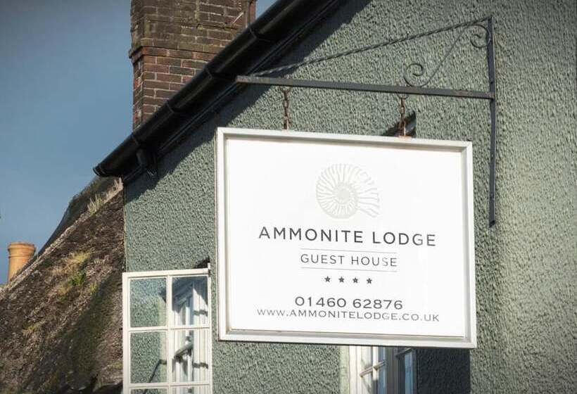 بنسيون Ammonite Lodge