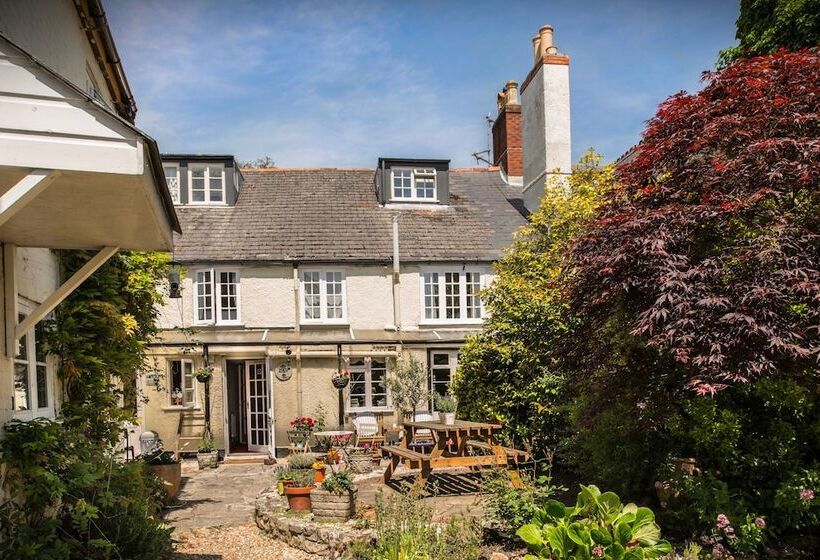 بنسيون Ammonite Lodge