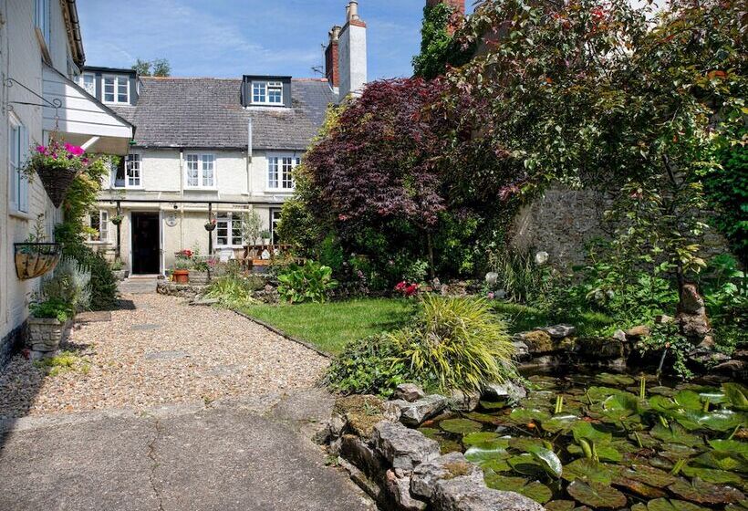 بنسيون Ammonite Lodge