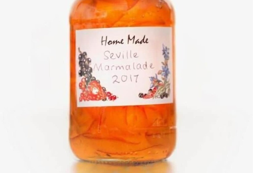 بنسيون Ammonite Lodge