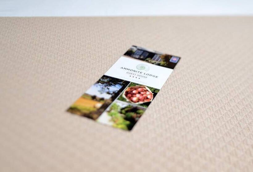 بنسيون Ammonite Lodge