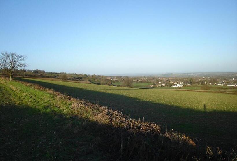 بنسيون Ammonite Lodge