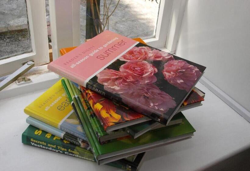 بنسيون Ammonite Lodge