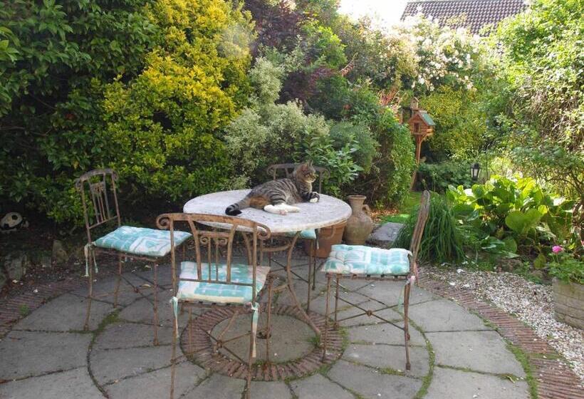 بنسيون Ammonite Lodge