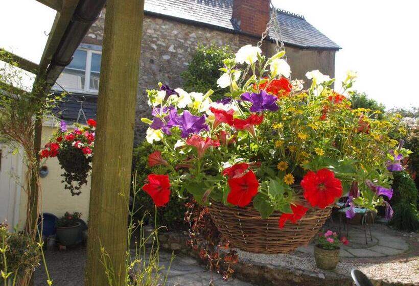 بنسيون Ammonite Lodge