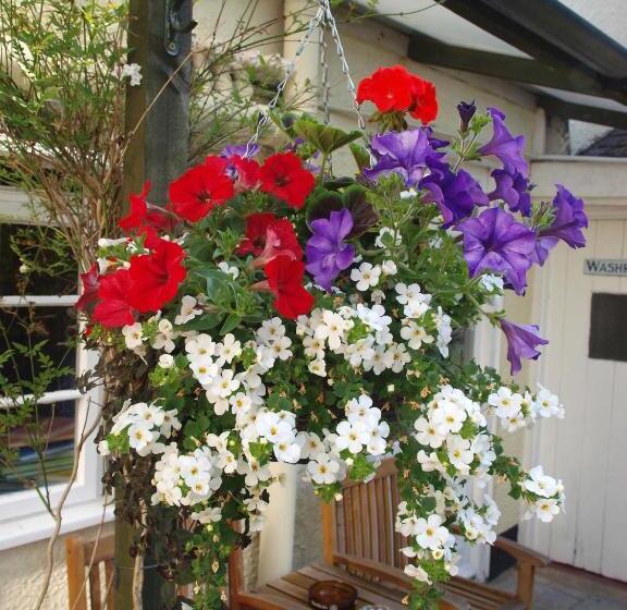 بنسيون Ammonite Lodge