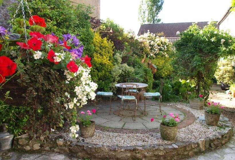 بنسيون Ammonite Lodge