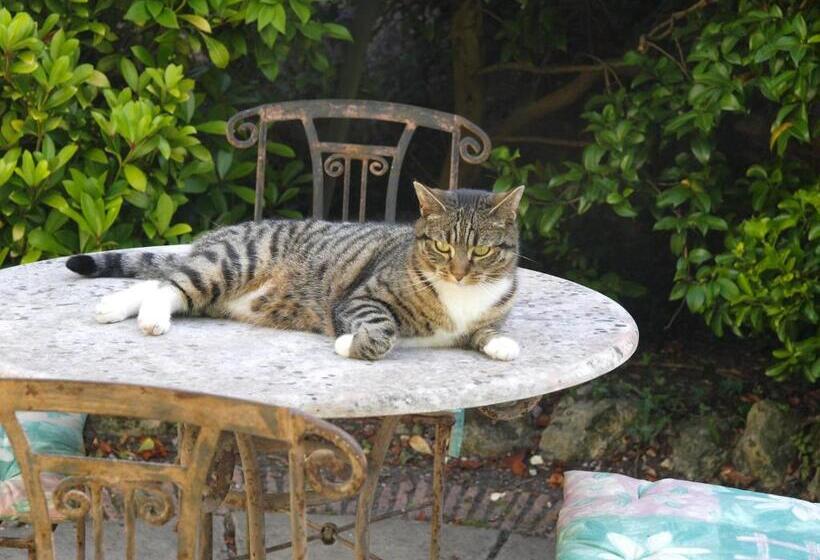 بنسيون Ammonite Lodge