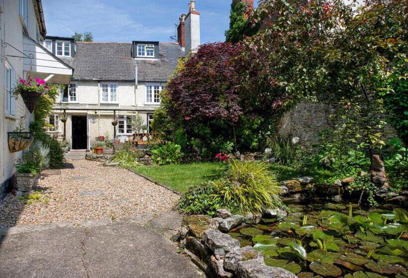 بنسيون Ammonite Lodge