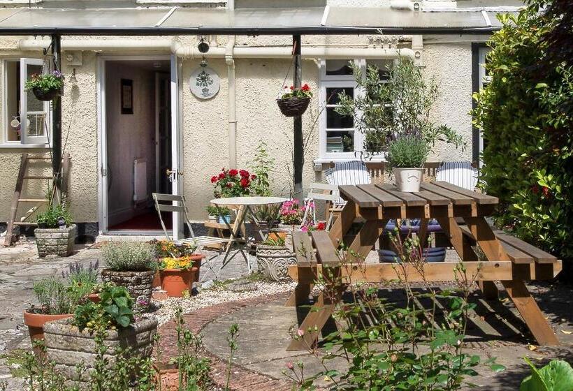 بنسيون Ammonite Lodge