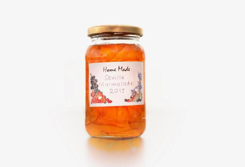 بنسيون Ammonite Lodge