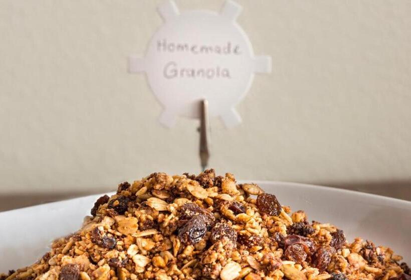 بنسيون Ammonite Lodge