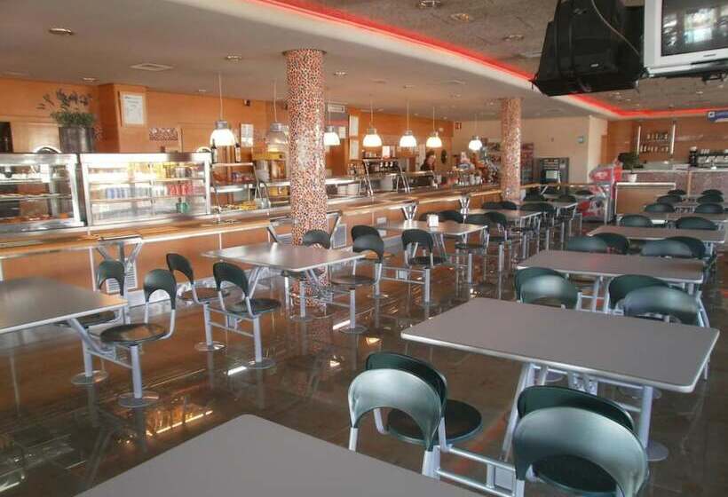 膳宿费 Area De Servicio El Rebollar