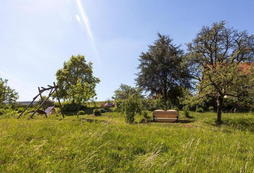 פנסיון Birkenhof Loipersdorf