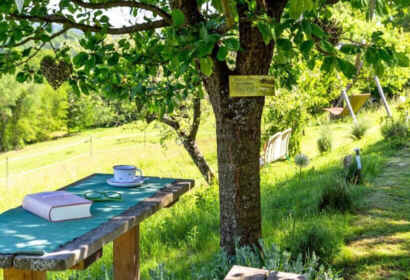 פנסיון Birkenhof Loipersdorf