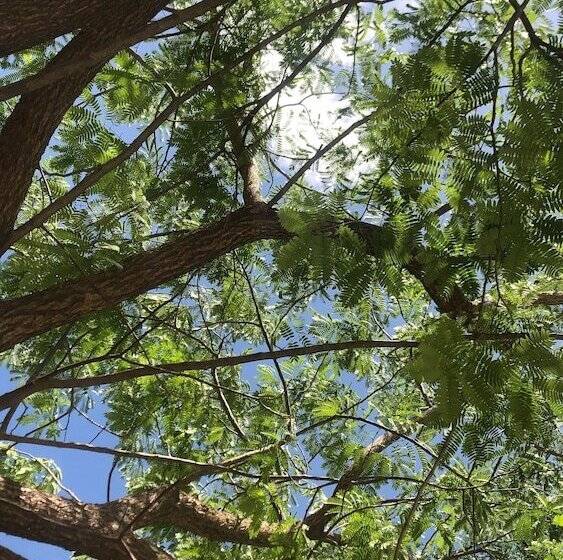 פנסיון Brisa Da Serra Pousada Em Sobral Ce