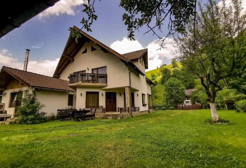 بنسيون Bucuria Muntelui