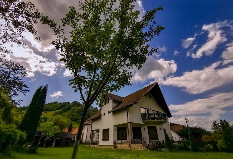 Пансион Bucuria Muntelui