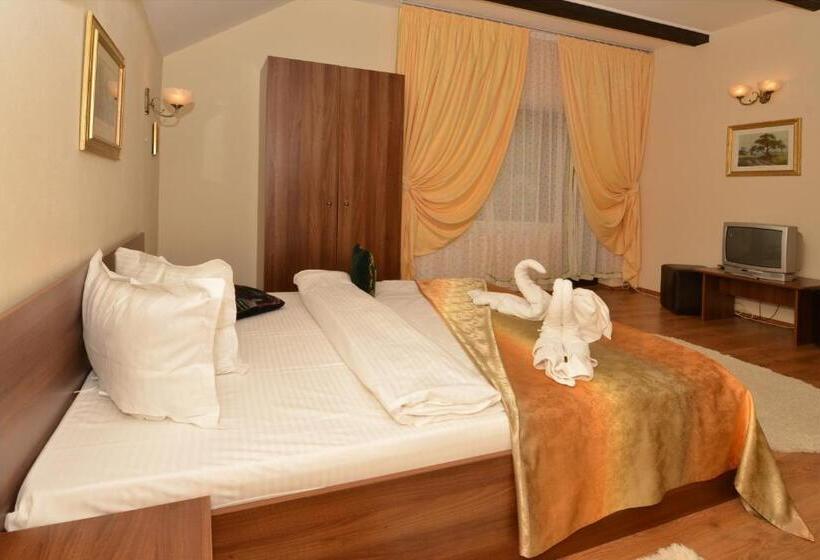 Пансион Bucuria Muntelui