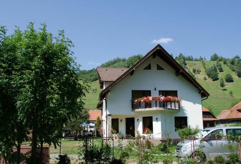 بنسيون Bucuria Muntelui