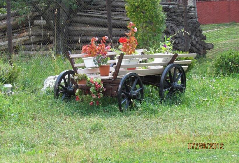 Пансион Bucuria Muntelui