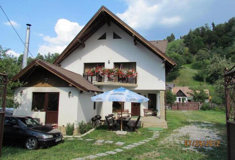 Пансион Bucuria Muntelui
