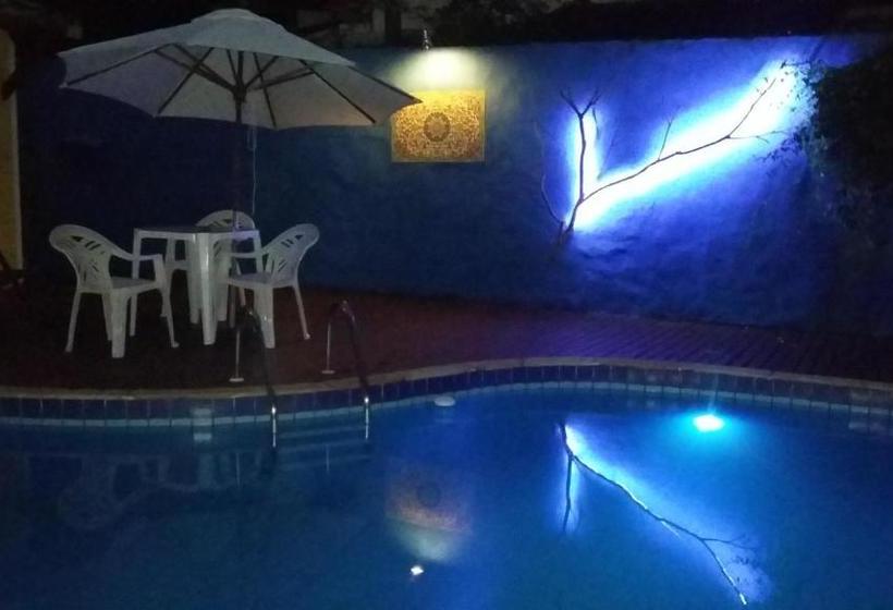 ペンション Casa Da Arvore Apartamentos Pousada