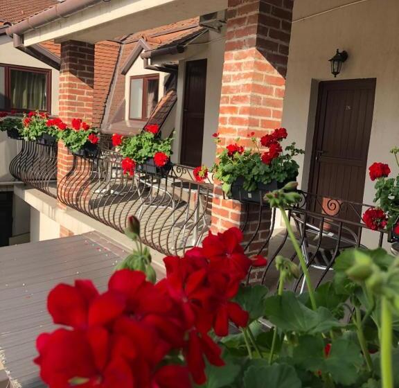 بنسيون Casa Mignon