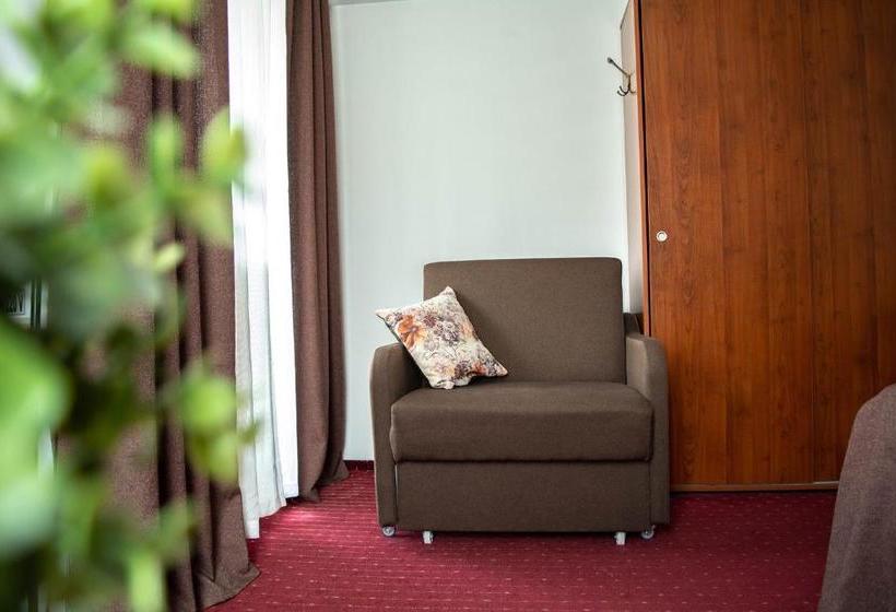 Пансион Casa Vlasin