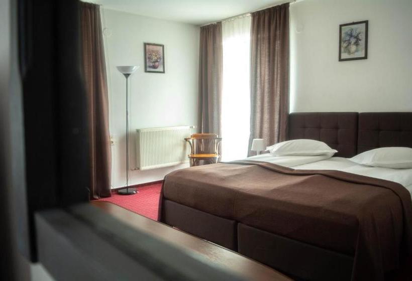 Пансион Casa Vlasin