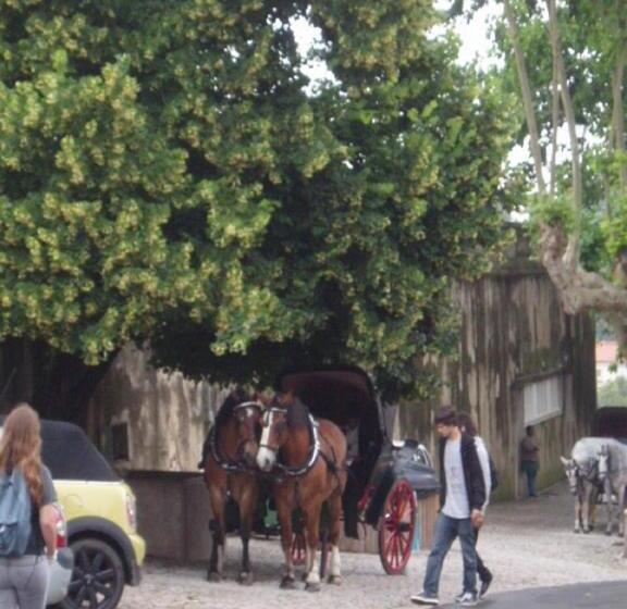 پانسیون Espaco Edla