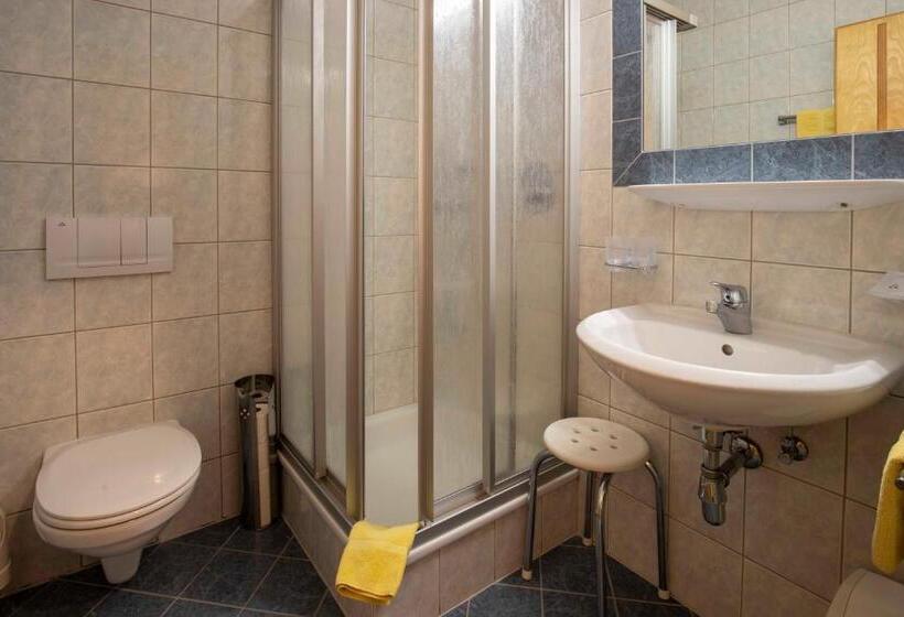 بنسيون Gidis Hof