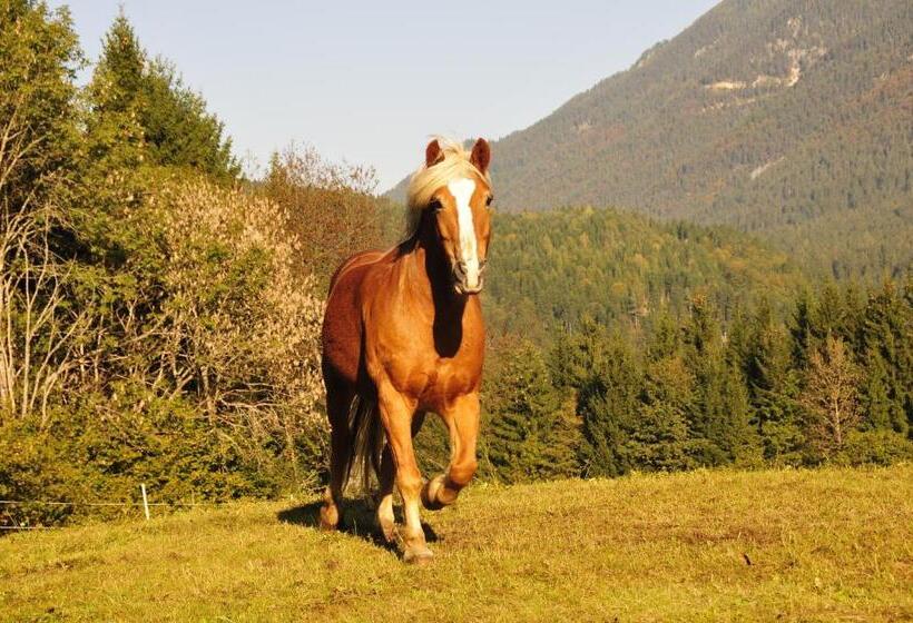 Пансион Gästehaus Brugger