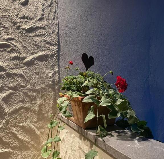 Пансион Gästehaus Brugger