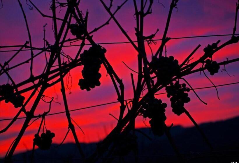 بنسيون Gästehaus Haiminger Ehemalig Schmelz