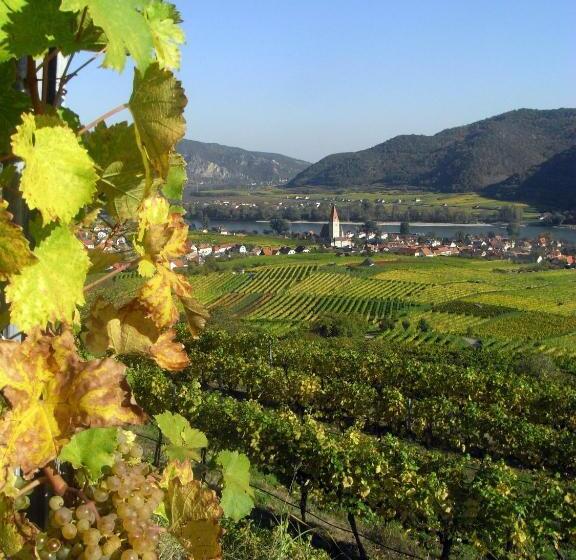 بنسيون Gästehaus Haiminger Ehemalig Schmelz