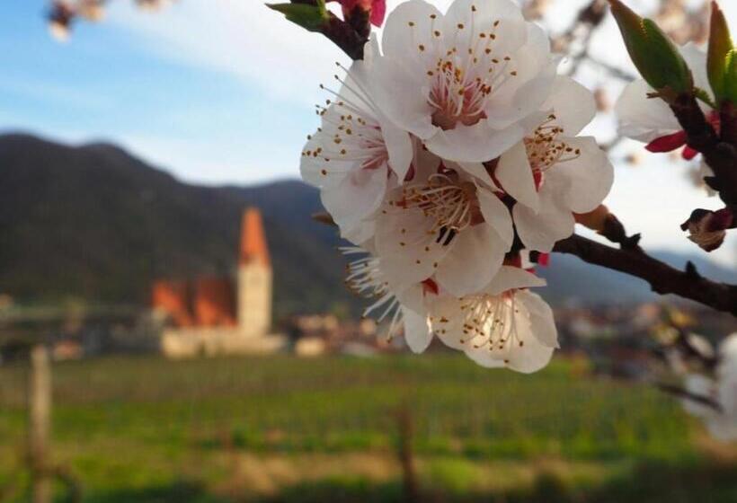 بنسيون Gästehaus Haiminger Ehemalig Schmelz