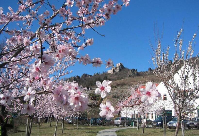 بنسيون Gästehaus Haiminger Ehemalig Schmelz