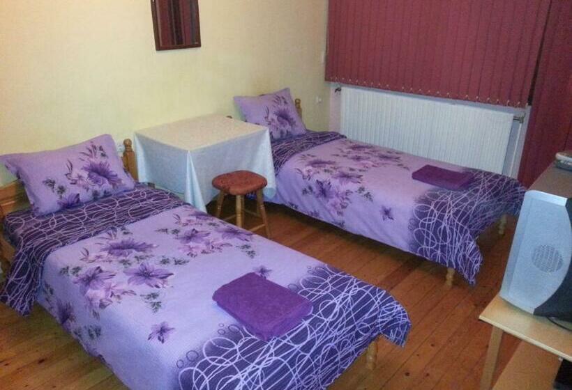 פנסיון Guest House Drakite