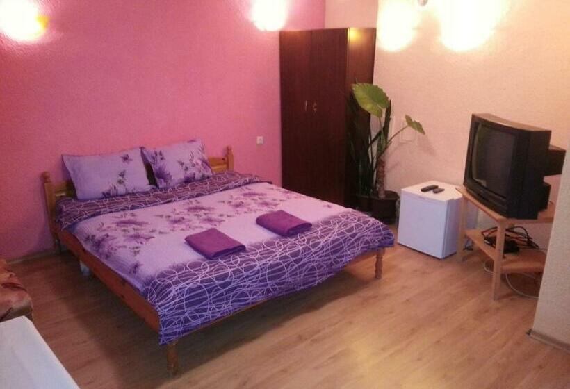 פנסיון Guest House Drakite