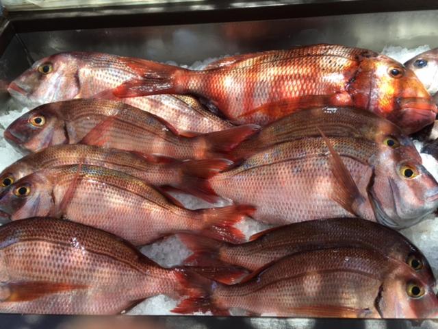 بنسيون Hostal Rios