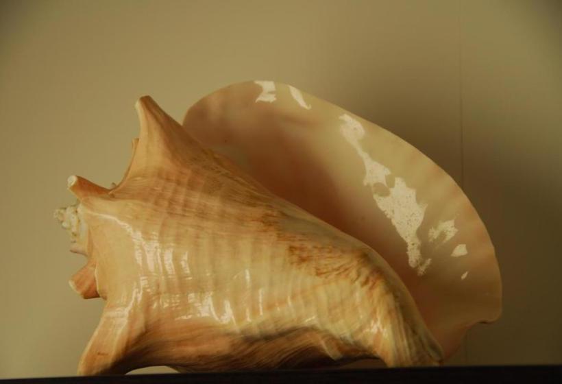 پانسیون Hostal La Garita