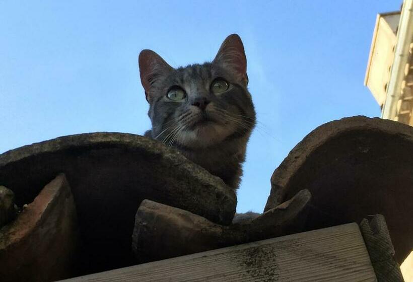 پانسیون Les Chambres D'ovaline