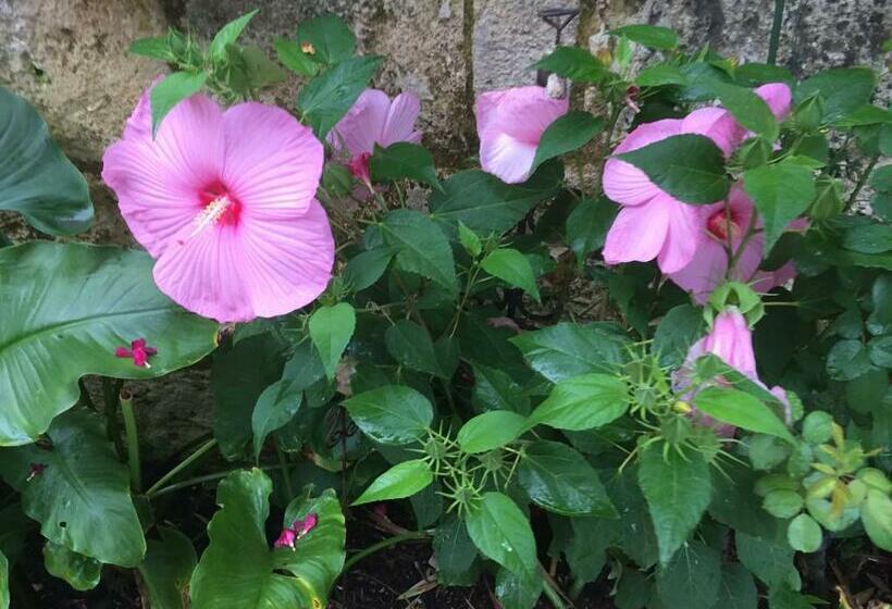 پانسیون Les Chambres D'ovaline