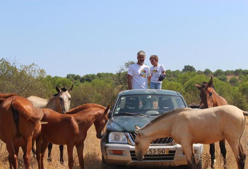 펜션 Monte De Portugal