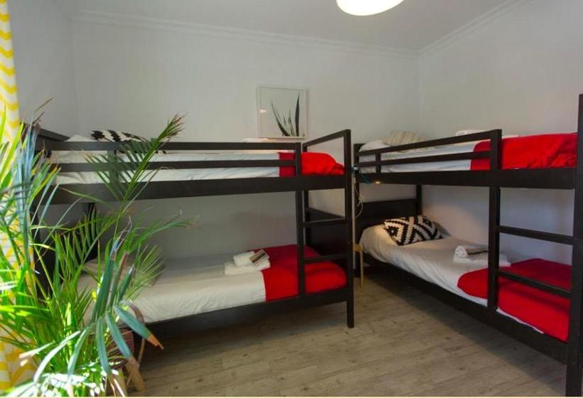 פנסיון Nexo Surf House