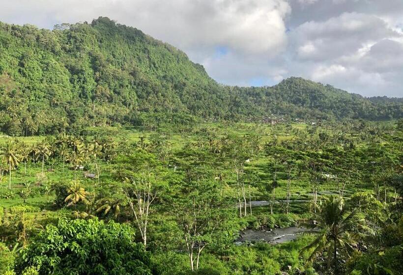 פנסיון Nirarta Center For Living Awareness