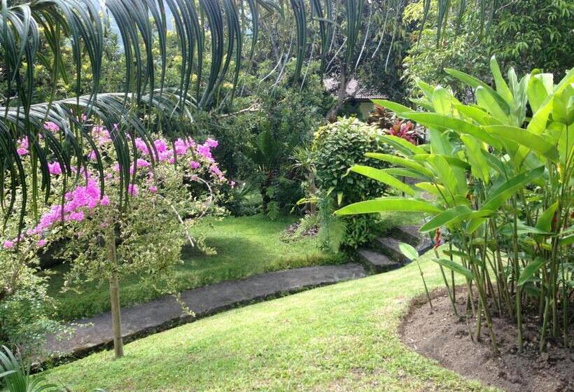 פנסיון Nirarta Center For Living Awareness