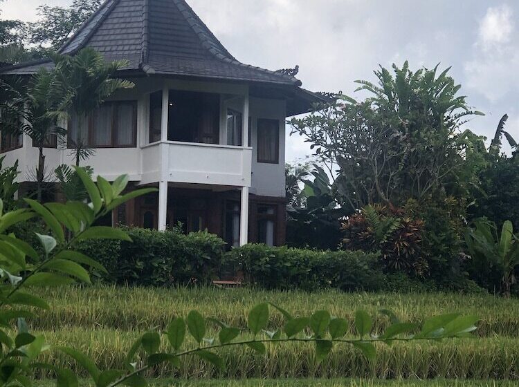 פנסיון Nirarta Center For Living Awareness