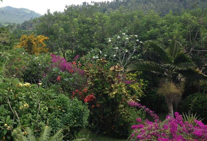 פנסיון Nirarta Center For Living Awareness